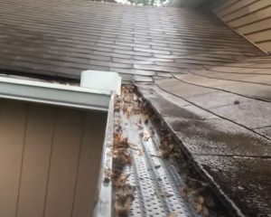 Gutter covers North Little Rock AR