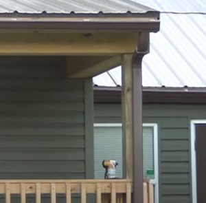 Seamless gutters North Little Rock AR